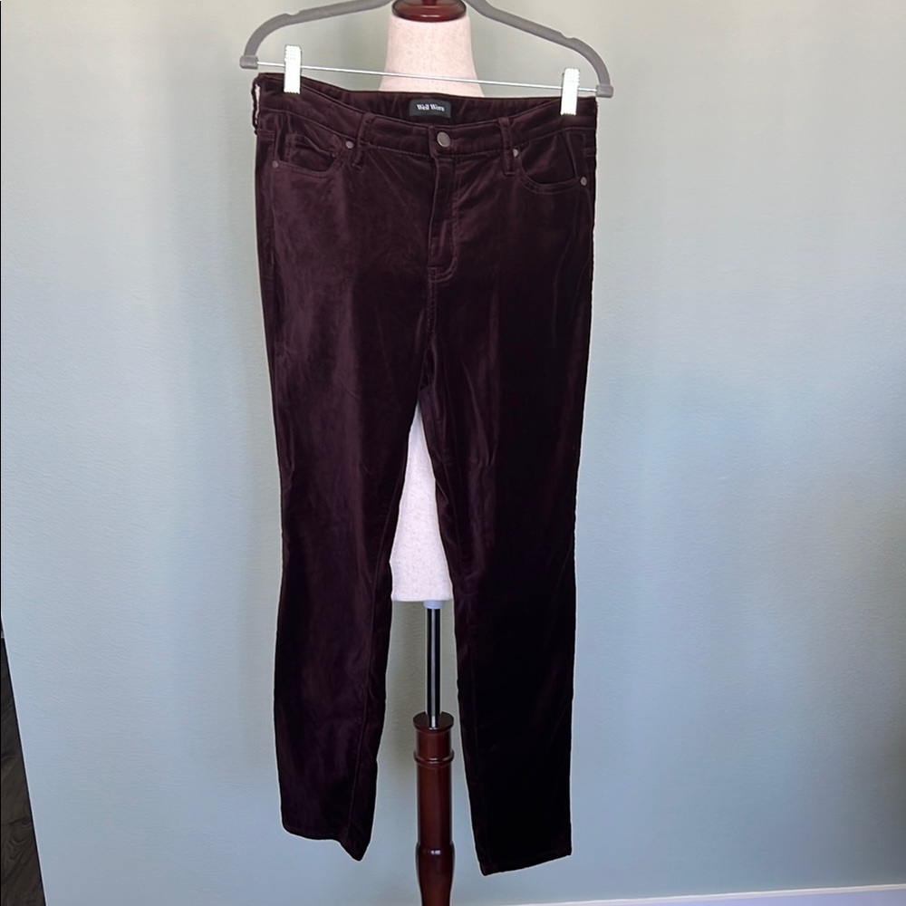 Well Worn - Burgundy High Rise Skinny Velvet Trousers